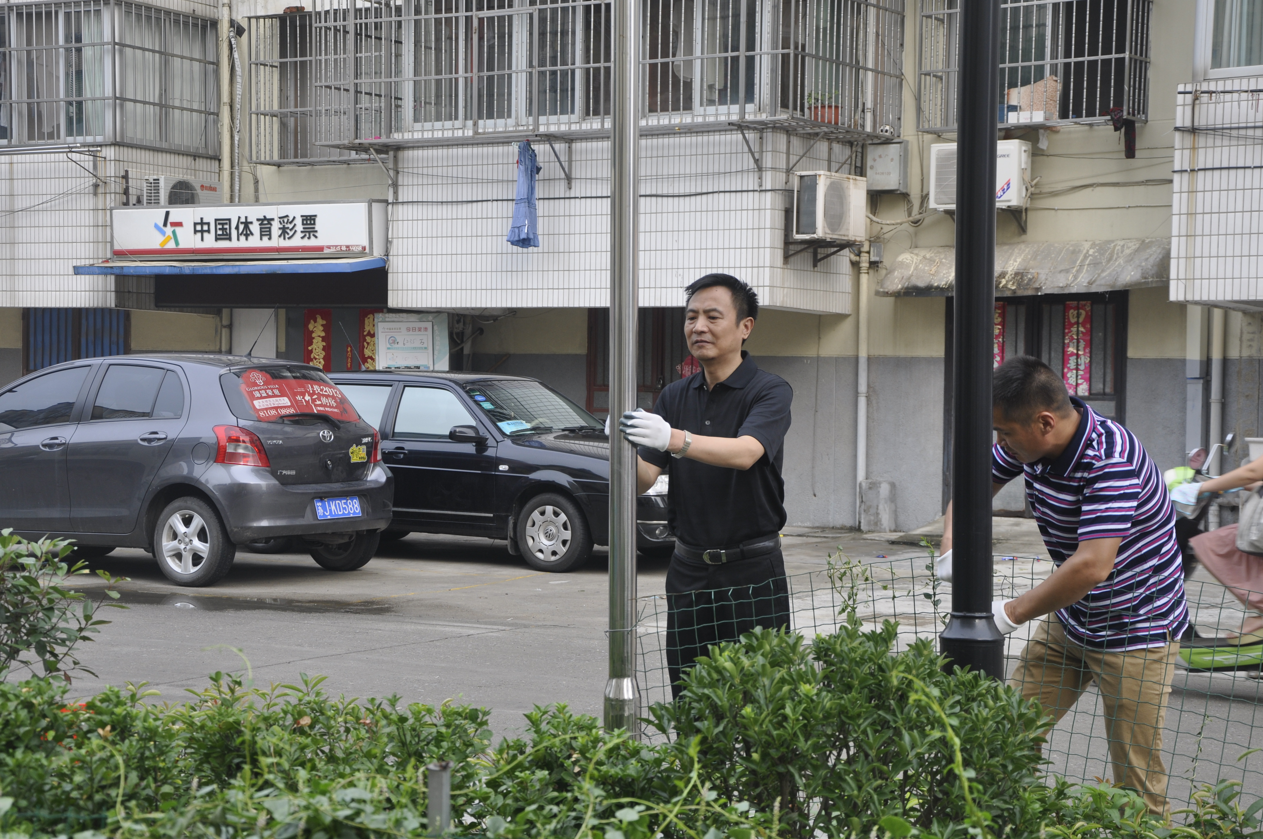 我局创卫工作动作快措施实