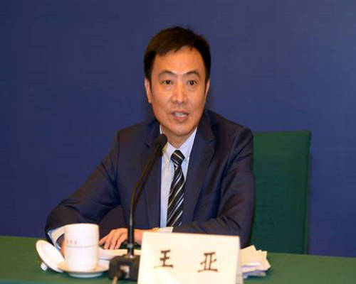 盐城市商务局 对外招商 王亚局长参加中韩盐城产业园